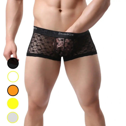 Men's Mesh and Sheer Trunks with Stylish Logo Waistband - Ultimate Comfort & Seduction Male Underwear - His Inwear