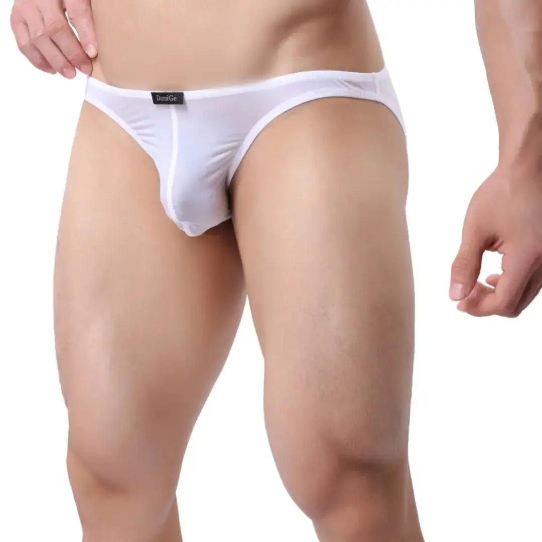 SleekFit Men's Ultra-Comfort Nylon-Spandex Low-Rise Briefs with Full Coverage Male Briefs Underwear - His Inwear