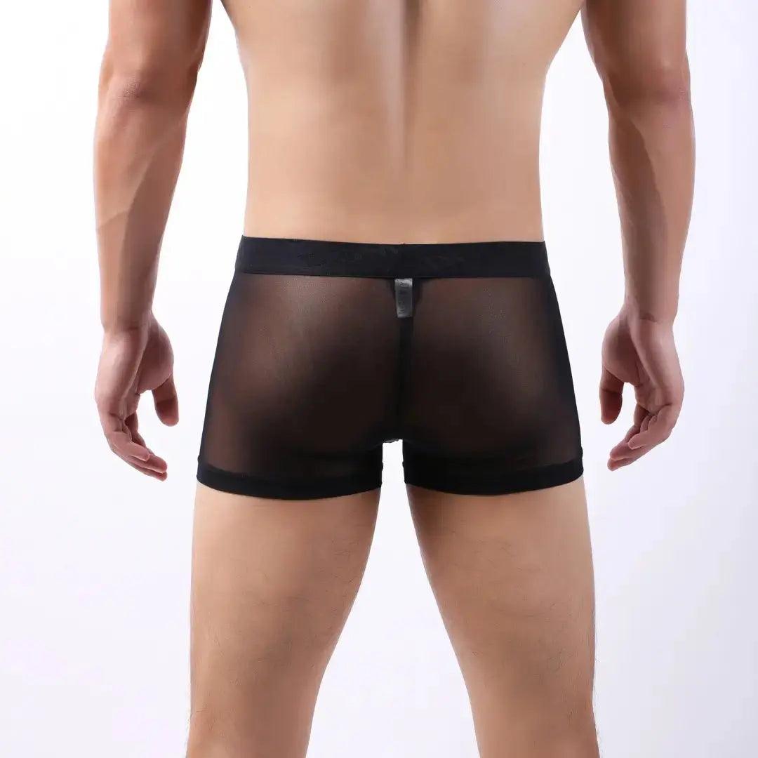 Tempt Sheer Men’s Low Rise Sexy Sheer See Through Underwear for Man - His Inwear