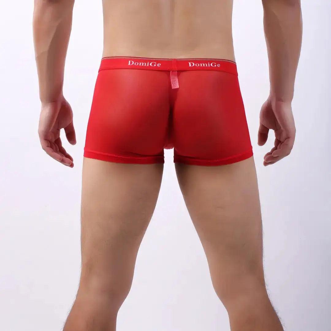 Tempt Sheer Men’s Low Rise Sexy Sheer See Through Underwear for Man - His Inwear